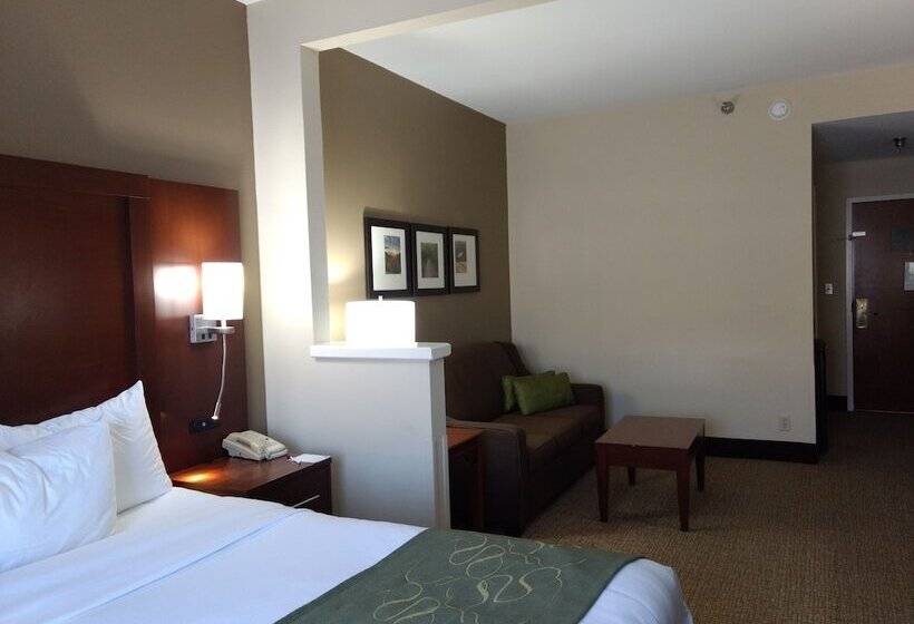 סוויטה, Comfort Suites Johnson City Near University