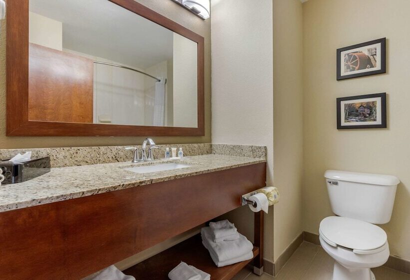 סוויטה, Comfort Suites Johnson City Near University