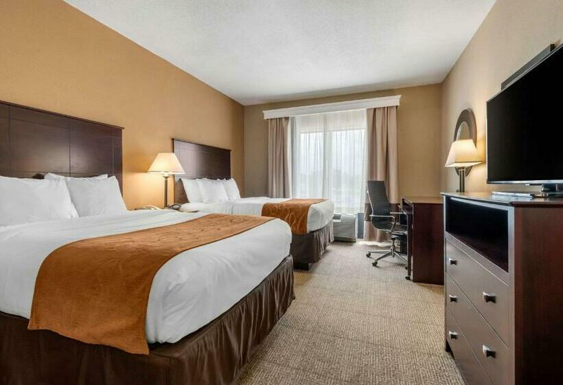 スイート, Comfort Suites Near Route 66