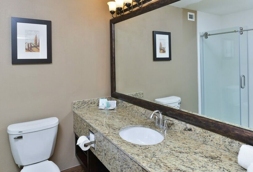 スイート, Comfort Suites Near Route 66