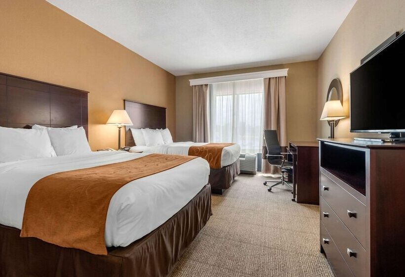 סוויטה, Comfort Suites Near Route 66