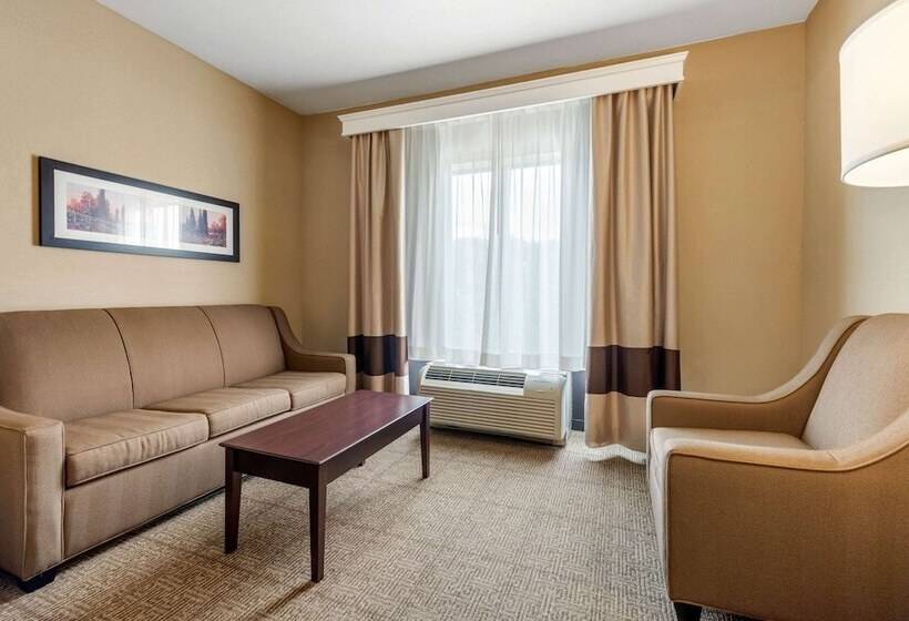 סוויטה, Comfort Suites Near Route 66