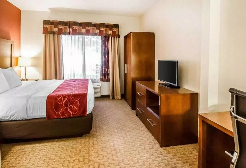 キングサイズベッドのスイートルーム, Comfort Suites Prestonsburg West