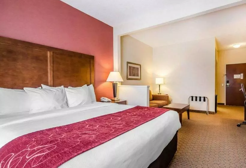 キングサイズベッドのスイートルーム, Comfort Suites Prestonsburg West
