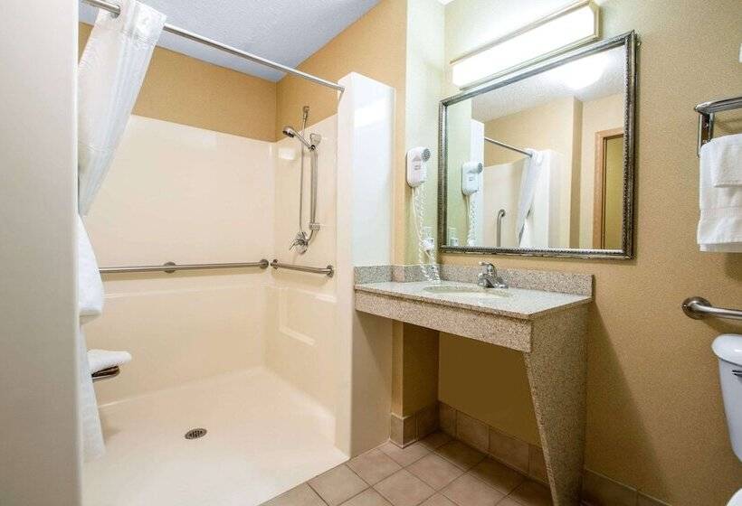 Люкс Адаптированный для Инвалидов, Comfort Suites Wisconsin Dells Area