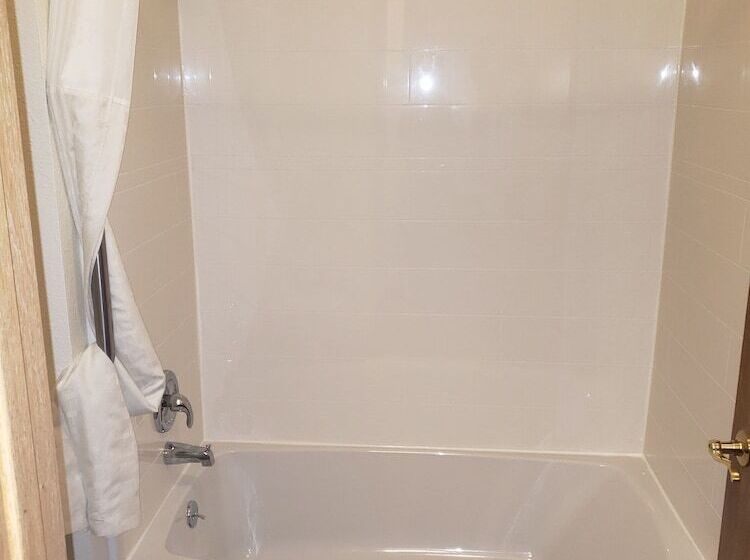 Люкс Адаптированный для Инвалидов, Comfort Suites Wisconsin Dells Area