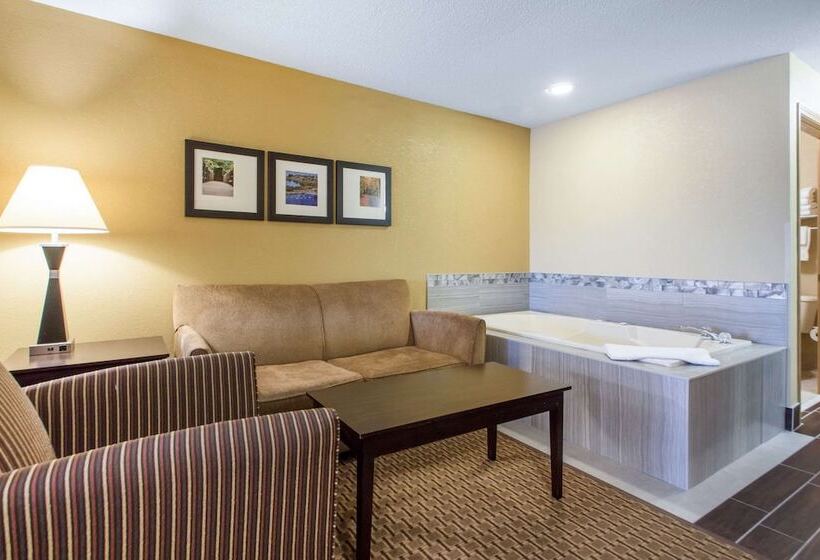 Люкс Адаптированный для Инвалидов, Comfort Suites Wisconsin Dells Area