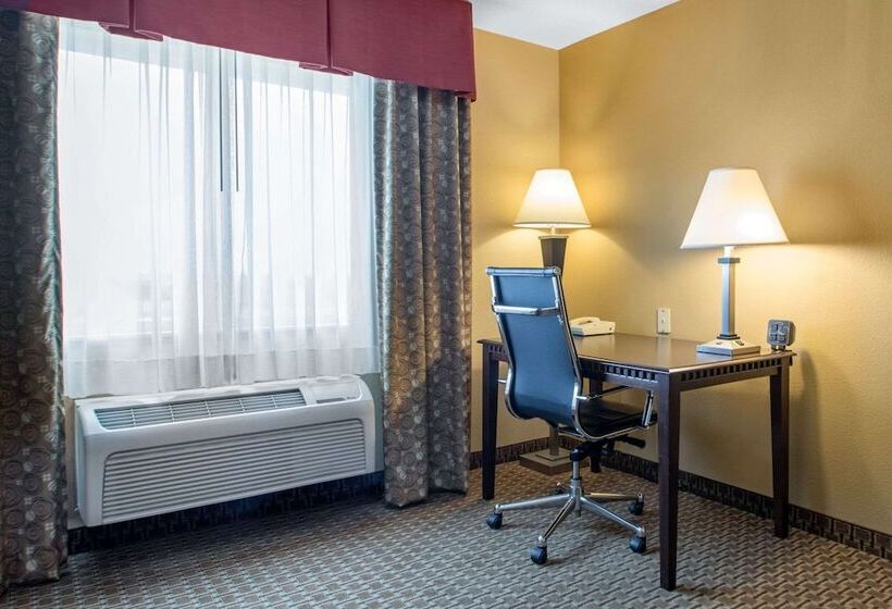 Люкс Адаптированный для Инвалидов, Comfort Suites Wisconsin Dells Area