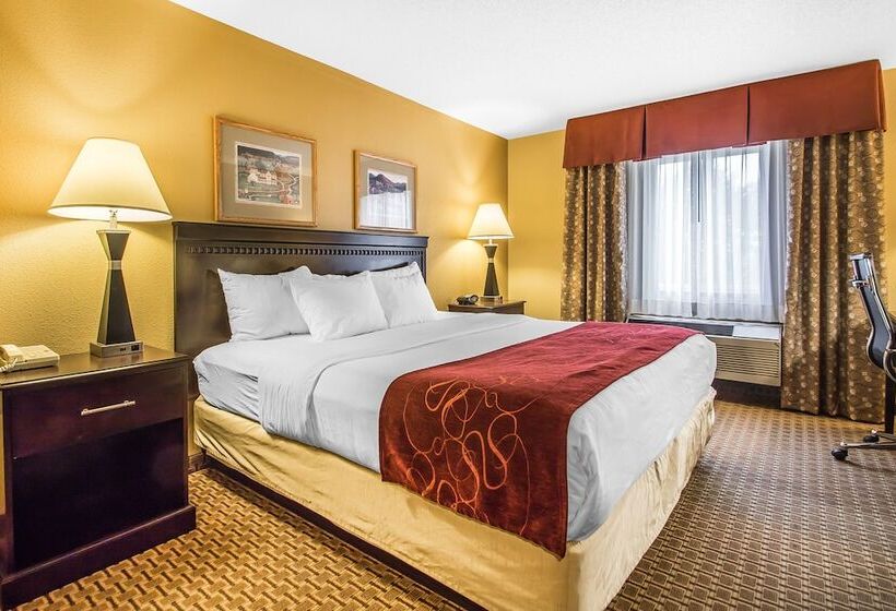 Люкс Адаптированный для Инвалидов, Comfort Suites Wisconsin Dells Area
