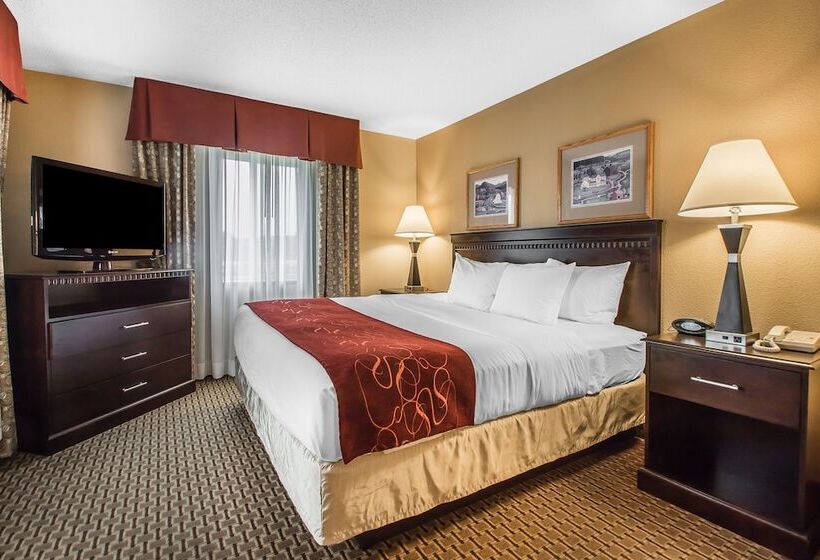 Люкс Адаптированный для Инвалидов, Comfort Suites Wisconsin Dells Area