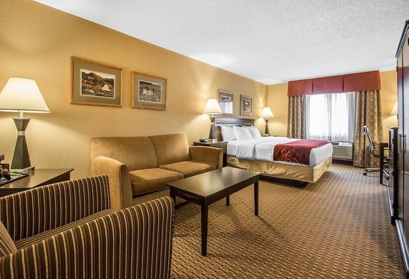 Люкс Адаптированный для Инвалидов, Comfort Suites Wisconsin Dells Area