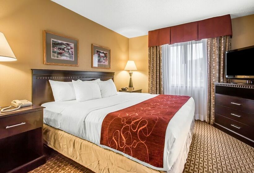 Люкс Адаптированный для Инвалидов, Comfort Suites Wisconsin Dells Area