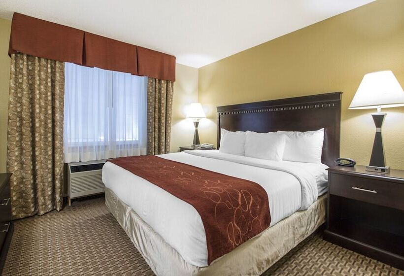 Люкс, Comfort Suites Wisconsin Dells Area