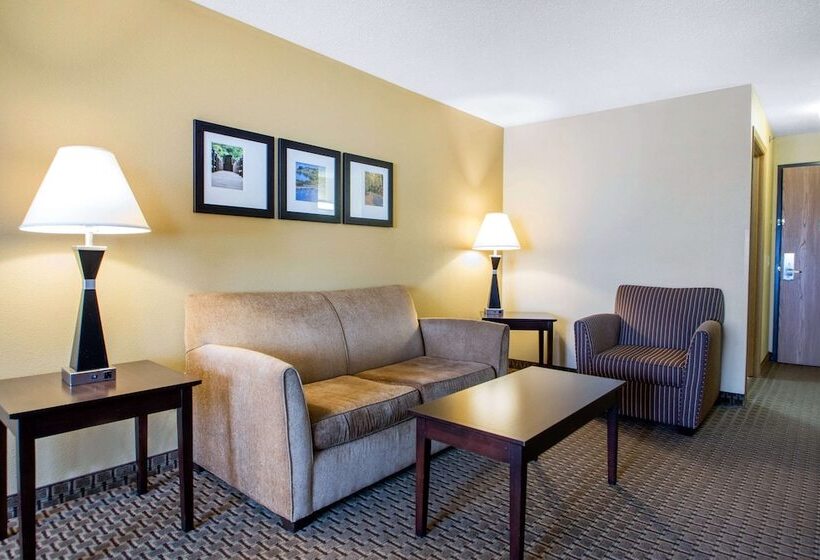 Люкс, Comfort Suites Wisconsin Dells Area