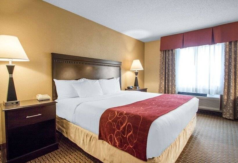 Люкс, Comfort Suites Wisconsin Dells Area
