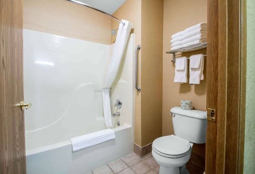 Люкс, Comfort Suites Wisconsin Dells Area