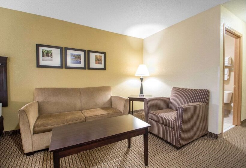 Люкс, Comfort Suites Wisconsin Dells Area