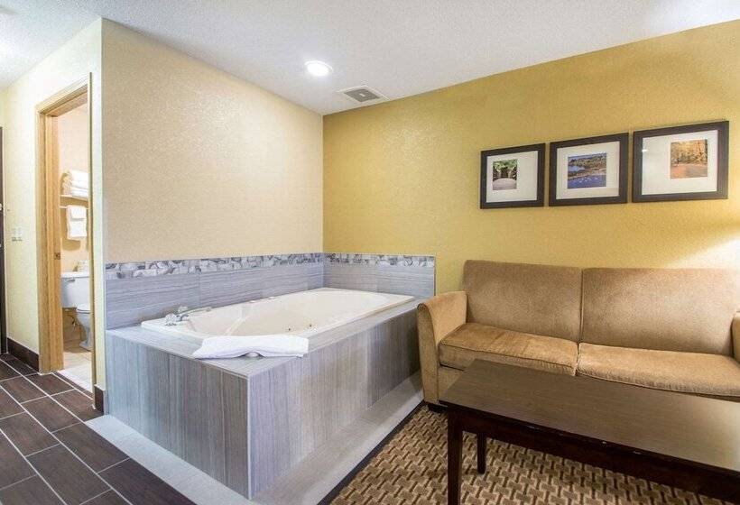 Люкс, Comfort Suites Wisconsin Dells Area
