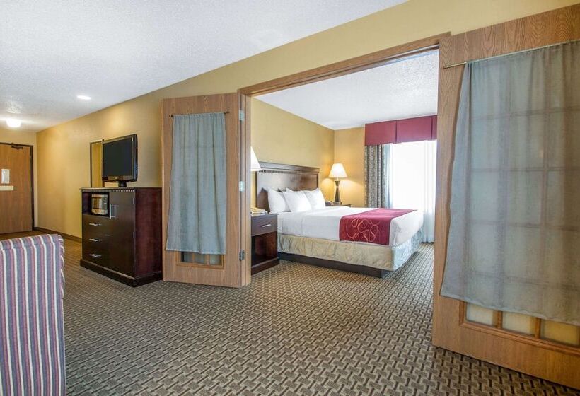 Люкс Адаптированный для Инвалидов, Comfort Suites Wisconsin Dells Area