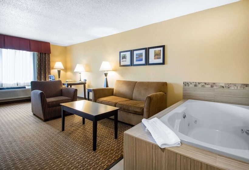 Люкс Адаптированный для Инвалидов, Comfort Suites Wisconsin Dells Area