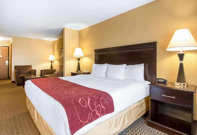 Люкс Адаптированный для Инвалидов, Comfort Suites Wisconsin Dells Area