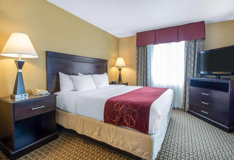 Люкс Адаптированный для Инвалидов, Comfort Suites Wisconsin Dells Area