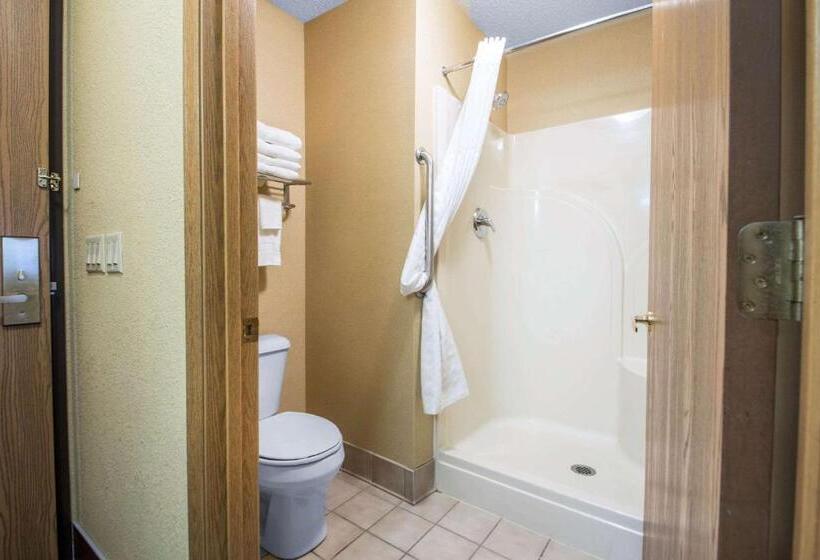 Люкс Адаптированный для Инвалидов, Comfort Suites Wisconsin Dells Area