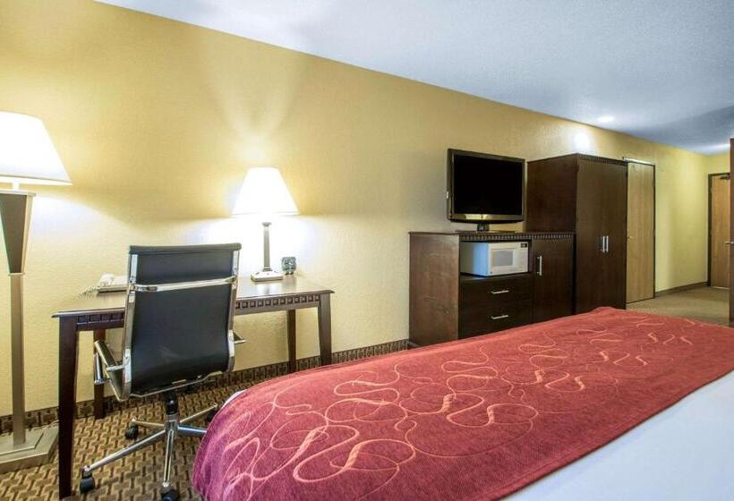 Люкс Адаптированный для Инвалидов, Comfort Suites Wisconsin Dells Area