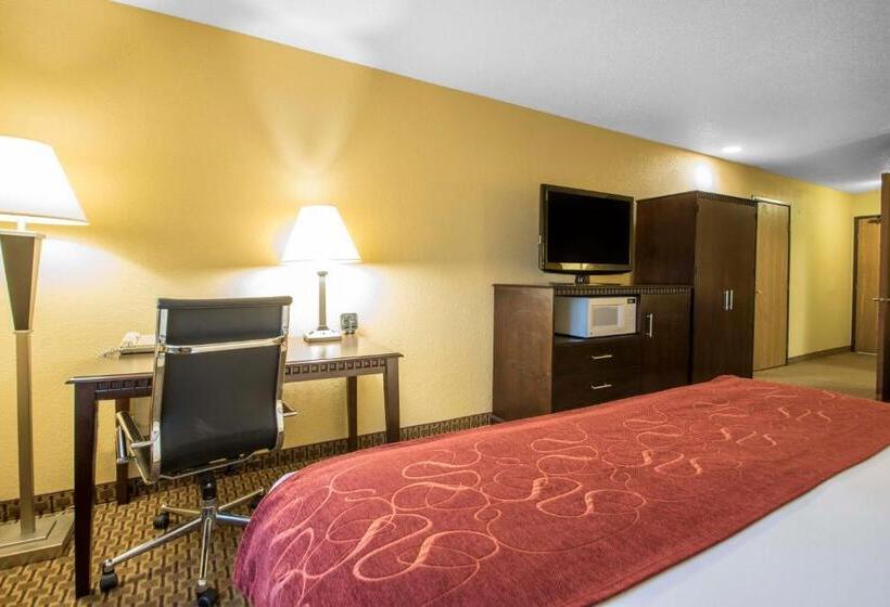 Люкс Адаптированный для Инвалидов, Comfort Suites Wisconsin Dells Area