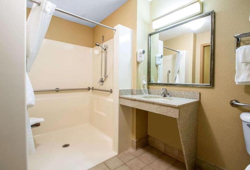 Люкс Адаптированный для Инвалидов, Comfort Suites Wisconsin Dells Area