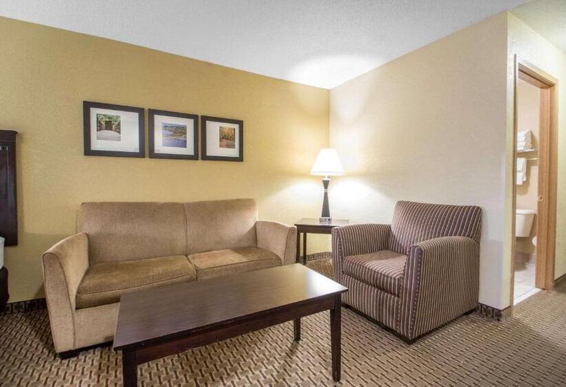 Люкс Кровать Кинг, Comfort Suites Wisconsin Dells Area
