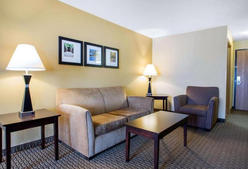 Люкс Кровать Кинг, Comfort Suites Wisconsin Dells Area