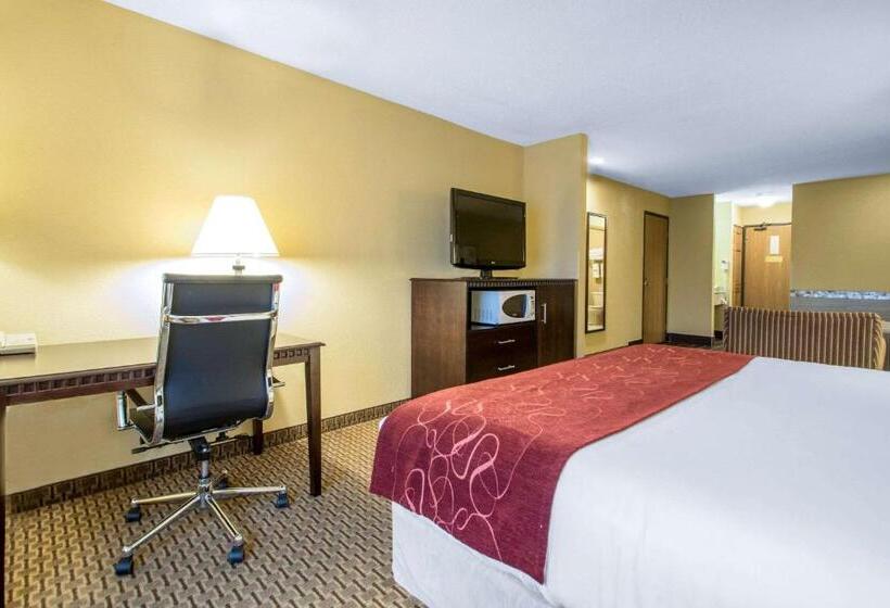 Люкс с гидромассажем, Comfort Suites Wisconsin Dells Area