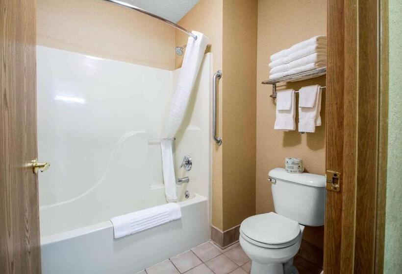Люкс Вид на Бассейн, Comfort Suites Wisconsin Dells Area