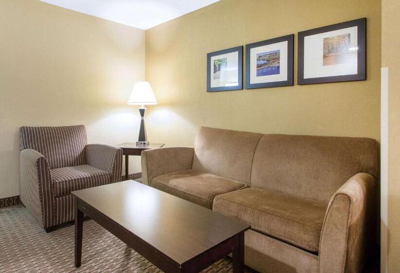 Люкс Вид на Бассейн, Comfort Suites Wisconsin Dells Area