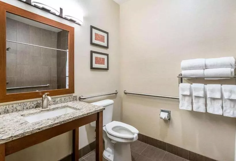 キングサイズベッドのスイートルーム, Comfort Suites Yakima
