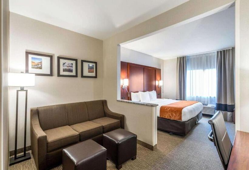 جناح سرير كينج, Comfort Suites Yakima