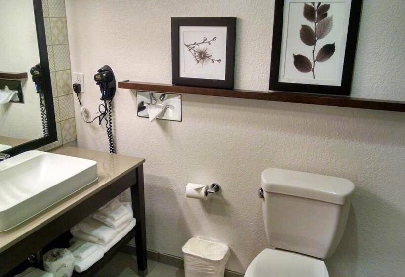 キングサイドベッドのスタンダードワンルーム, Country Inn & Suites By Radisson, Chippewa Falls, Wi