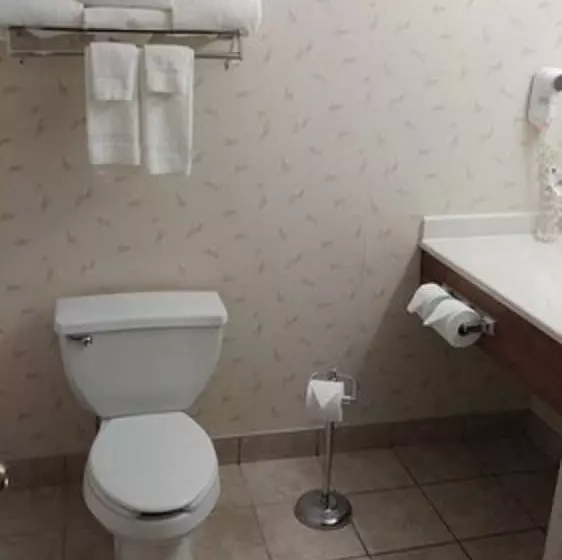 سوئیت با وان آب گرم, Country Inn & Suites By Radisson, Waterloo, Ia