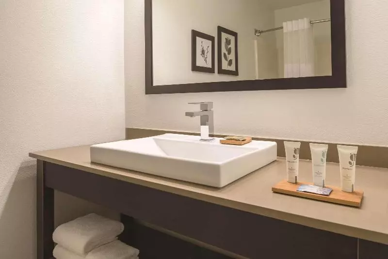 سوئیت با تخت بزرگ, Country Inn & Suites By Radisson, Waterloo, Ia
