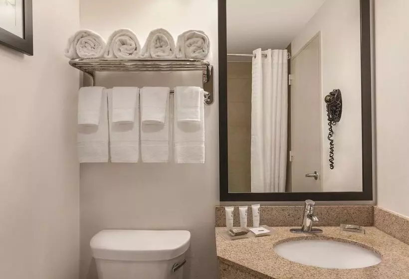 身障者適用スタンダードルーム, Country Inn & Suites By Radisson, Woodbury, Mn