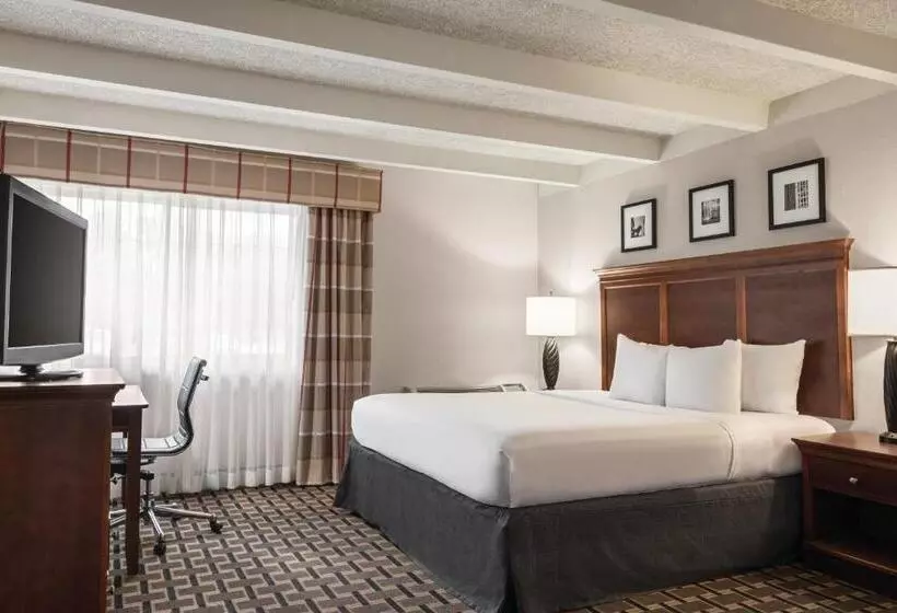 キングサイズベッドのスタンダードルーム, Country Inn & Suites By Radisson, Woodbury, Mn