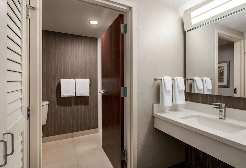 带2个双人床的标准工作室, Courtyard Tupelo