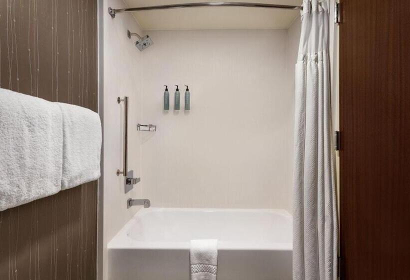 带大床的标准间, Courtyard Tupelo