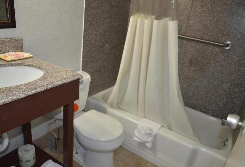 Стандартный Номер Кровать Кинг, Red Carpet Inn & Suites Ebensburg