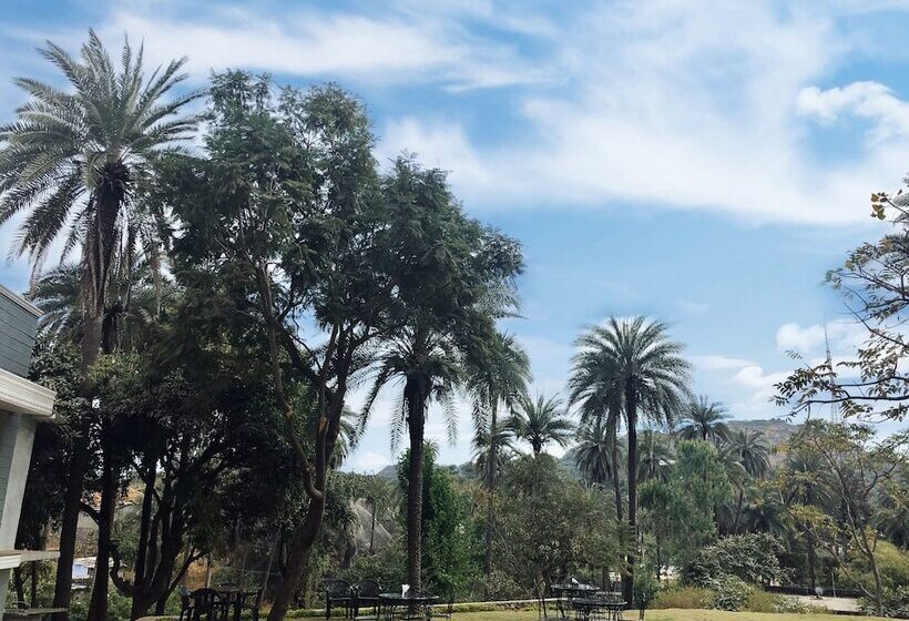 豪华房间, Agroha