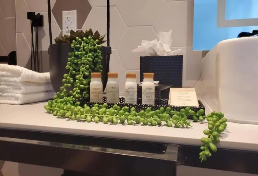 スタンダードルーム, Indigo Miami Brickell By Ihg