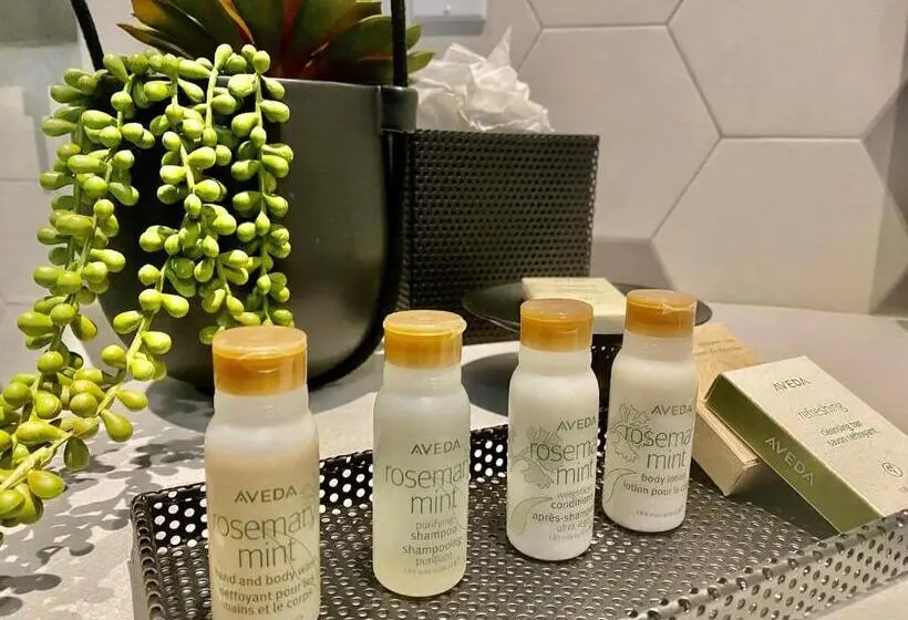 身障者適用スイートルーム, Indigo Miami Brickell By Ihg