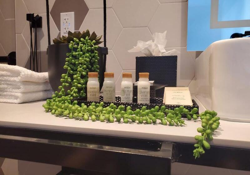 جناح لذوى الاحتياجات الخاصة, Indigo Miami Brickell By Ihg