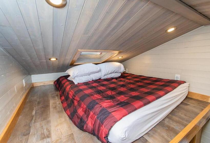 منزل غرفة نوم واحدة, Tiny House Leadville